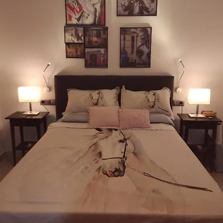 Apartmán Precioso Apartamento En El Centro De Jerez Con Garaje Incluido *